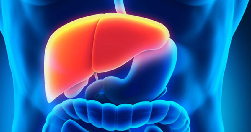 Liver cirrhosis or end Stage Liver Disease, Organ donation and transplantation